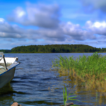 Mete: En komplett guide för fiske i Sverige